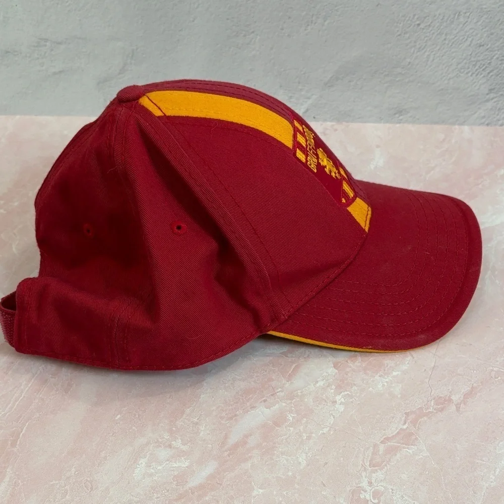 Warner Bros. Gryffindor Kids Hat in Red and Gold